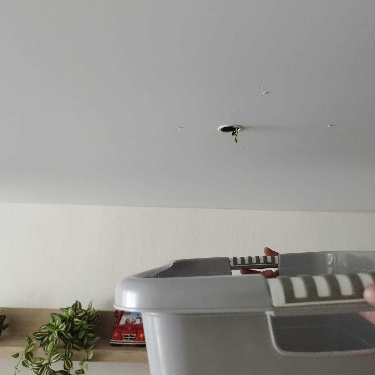 Ūdens savākšana no griestu membrānas, izmantojot trauku un uzmanīgu spiešanu